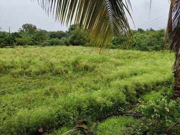 Plot Area in  Plot at Shirwal – for Sale