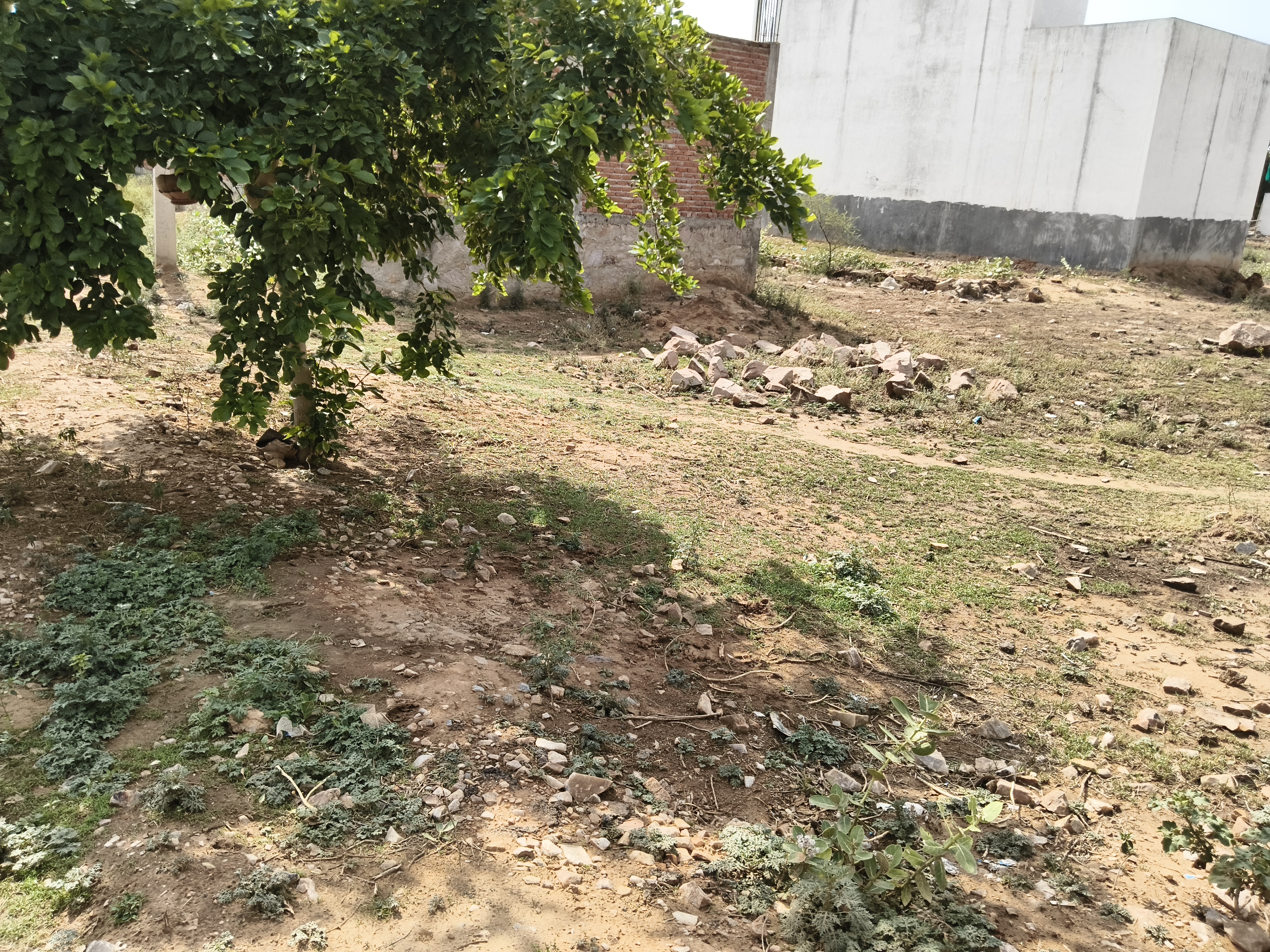 Plot For Sale in Jagatpura