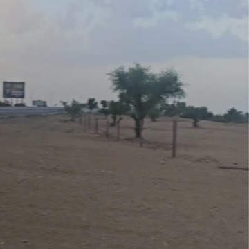 Plot Area in  Plot at Sujangarh Road – for Sale