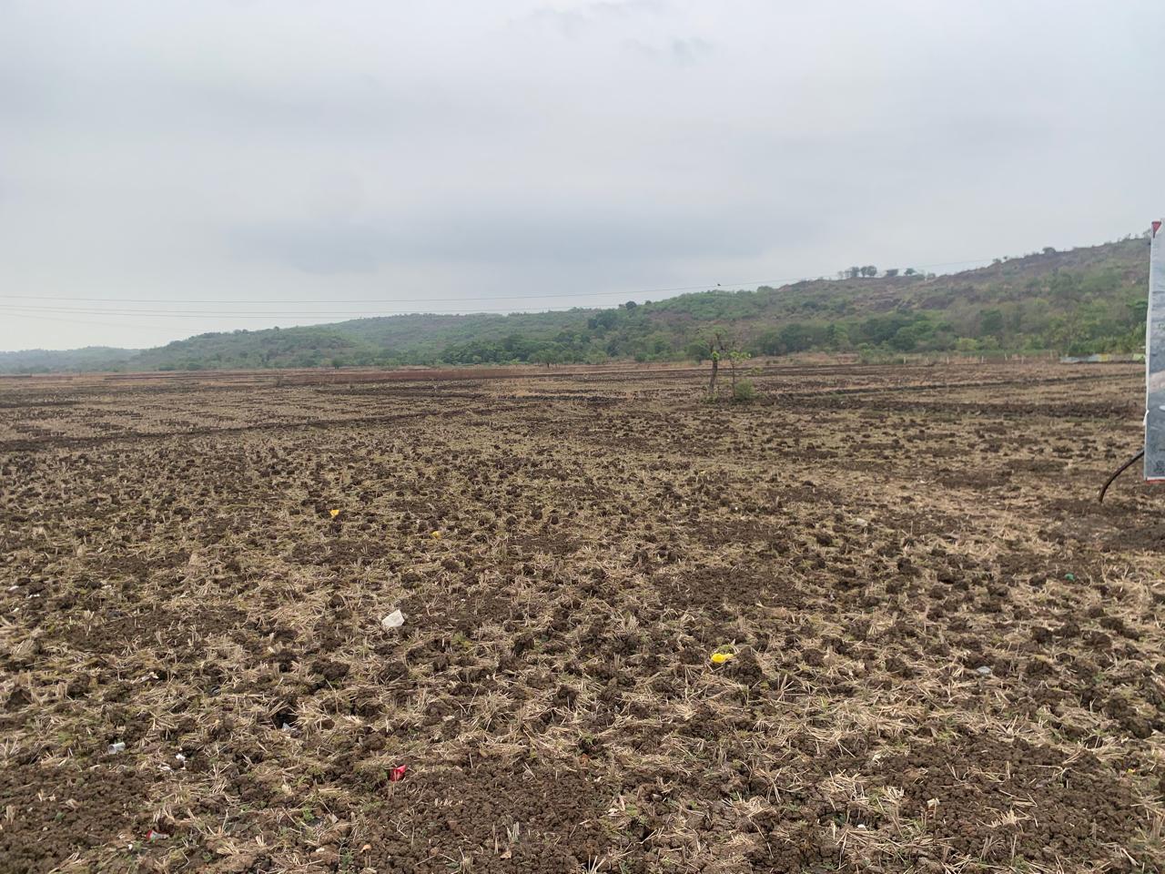 Land For Sale in Agricultural Plot 