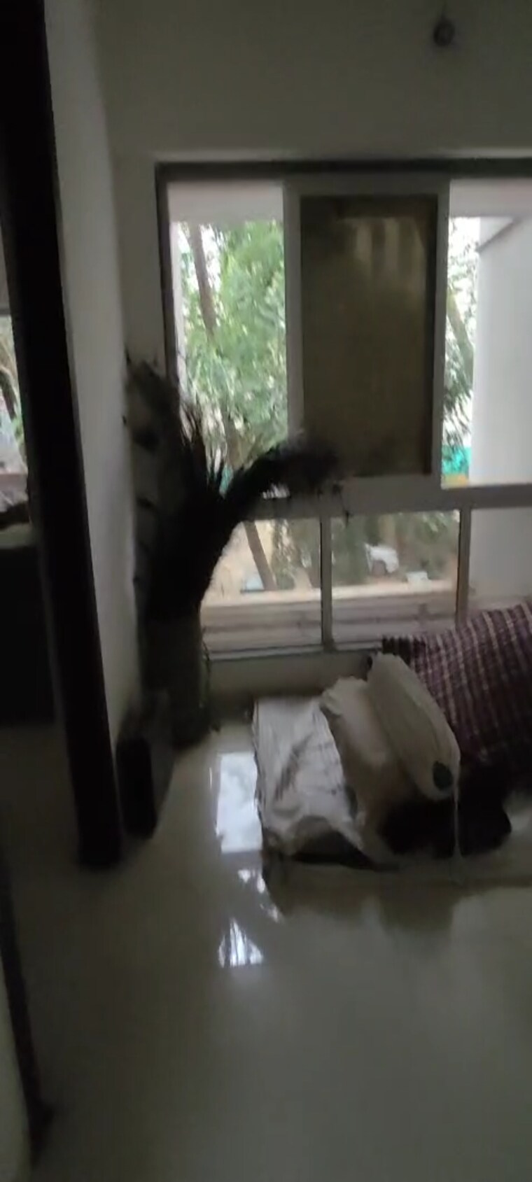 Balcony, dadar west 1.5 Bedroom 560 Sq.Ft. Apartment In Dadar West Mumbai 8777898