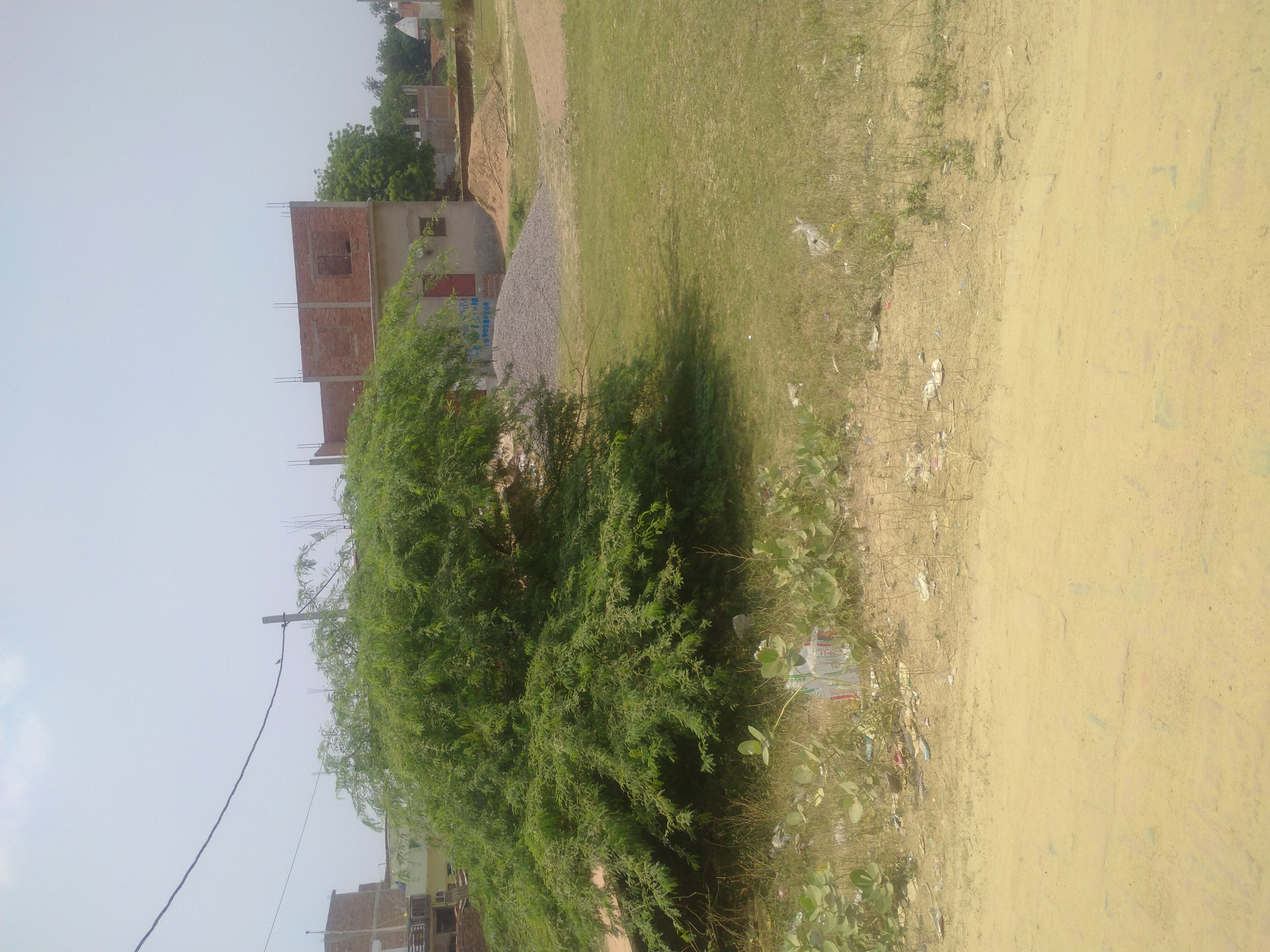 Plot For Sale in Indira Nagar