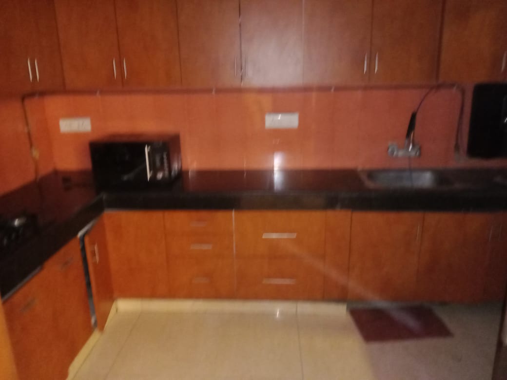 3 BHK + Study Room 2070 Sq.Ft. Apartment in CGHS Progressive Apartments