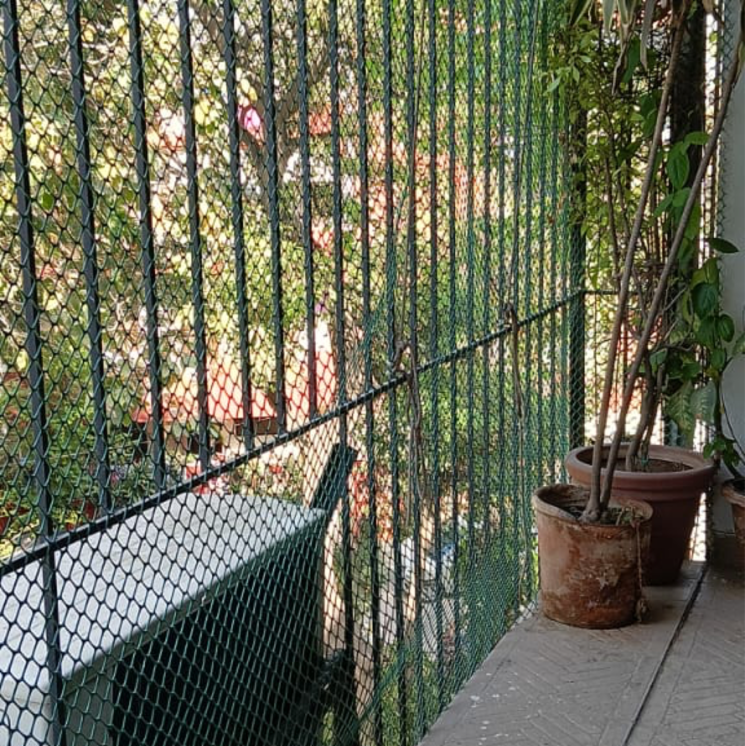 Balcony, panchsheel enclave 3 Bedroom 2250 Sq.Ft. Builder Floor In Panchsheel Enclave Delhi 8778358