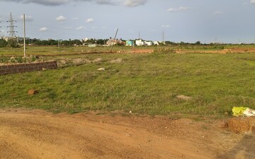 Plot For Sale in Patrapada