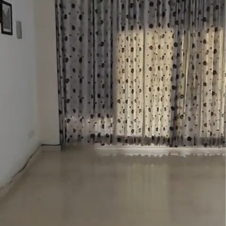 Living Room, shivalik colony 3 Bedroom 1850 Sq.Ft. Builder Floor In Shivalik Colony Delhi 8778451