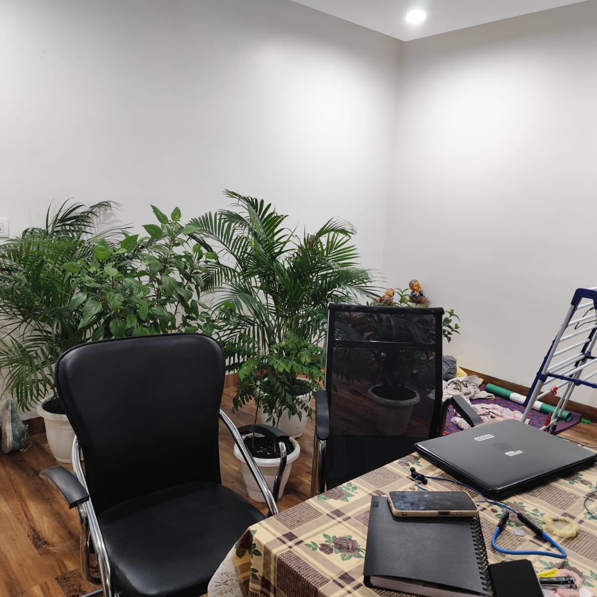 2 BHK + Study Room Builder Floor For Rent in Malviya Nagar