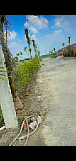  Plot – Exterior View View at Sai Kutir Sector 49, Sector 49 - for Sale