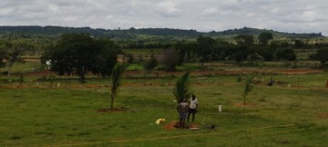 Plot Area in  Plot at Denkanikotta rd – for Sale