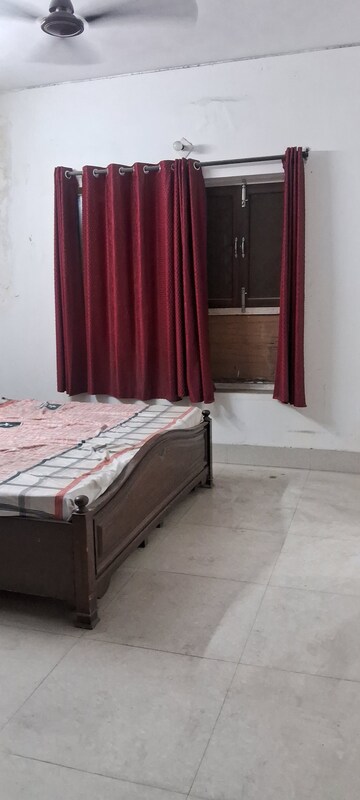 2.5 BHK Apartment For Rent in Sarita Vihar