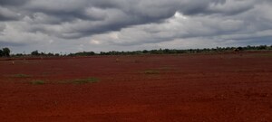 Plot Area in  Plot at Venkatapur – for Sale