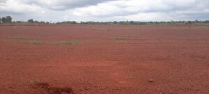 Plot Area in  Plot at Venkatapur – for Sale