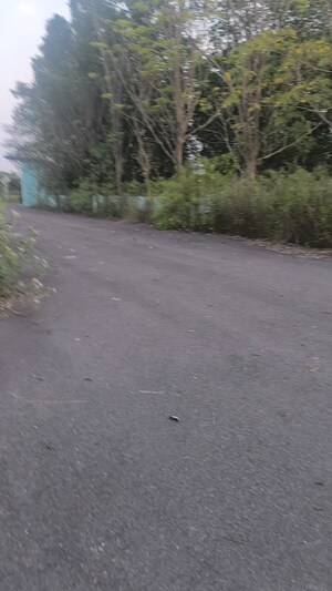  Plot – Exterior View View at Revidi - for Sale