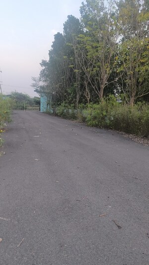  Plot – Exterior View View at Revidi - for Sale