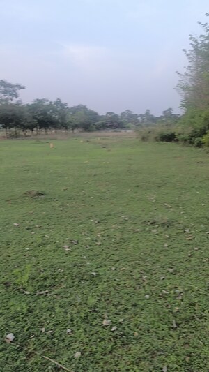  Plot For Sale in Revidi