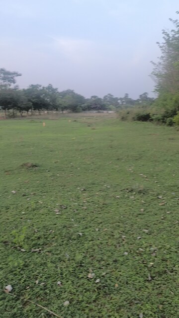  Plot For Sale in Revidi