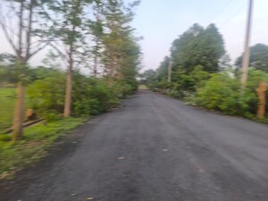  Plot – Exterior View View at Revidi - for Sale