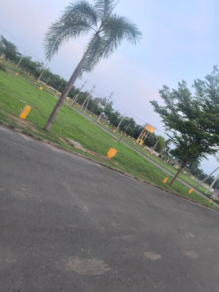 Exterior View, revidi  167 Sq.Yd. Plot In Revidi Vizag 8778857