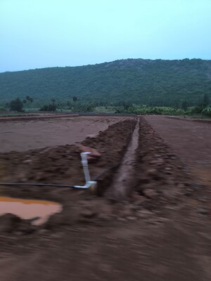 Plot Area in  Plot at Anandapuram – for Sale