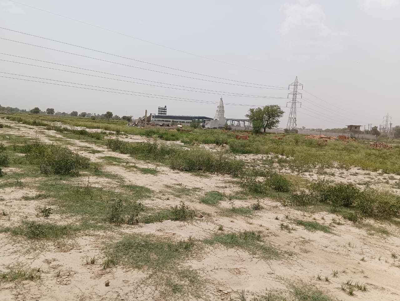 Plot For Sale in Sector 133