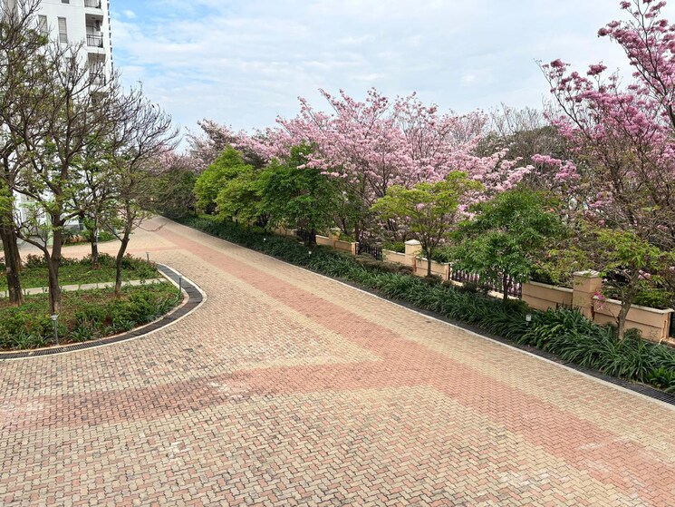 Garden, prestige-shantiniketan 2 Bedroom 1254 Sq.Ft. Apartment In Whitefield Bangalore 8779205