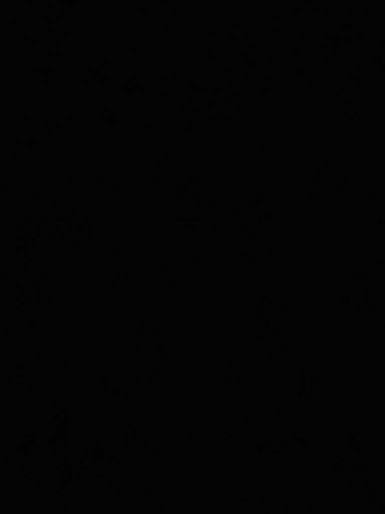 4 BHK Apartment For Rent in Conscient Heritage One