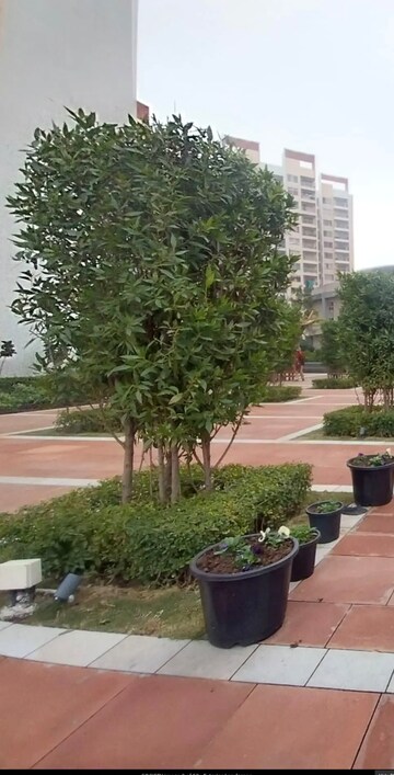 2 BHK Apartment – Exterior View View at Shapoorji Pallonji Joyville Gurgaon, Sector 102 - for Rent