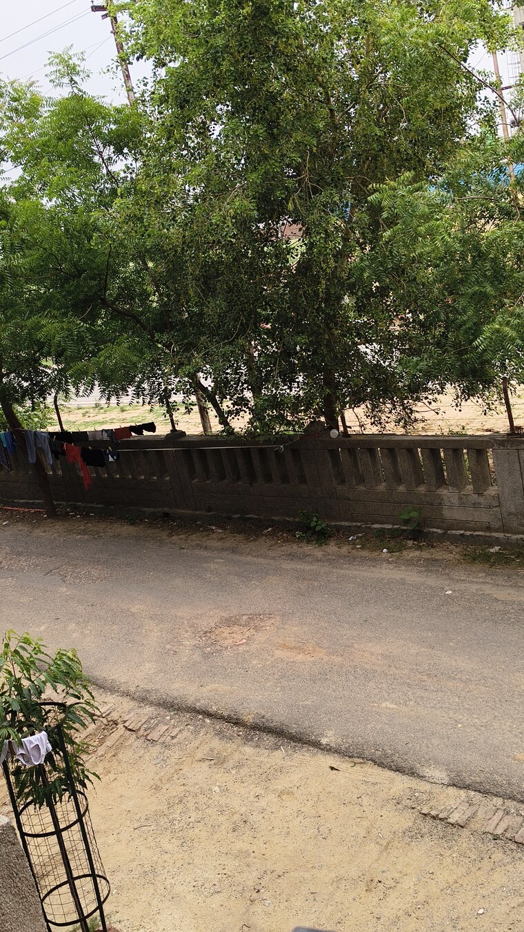 Exterior View, sector 10 greater noida 1 Bedroom 375 Sq.Ft. Apartment In Sector 10 Greater Noida Greater Noida 8779548