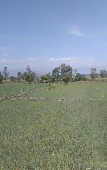 Plot Area in  Plot at Badripur – for Sale
