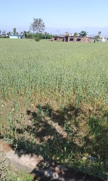 Plot Area in  Plot at Badripur – for Sale