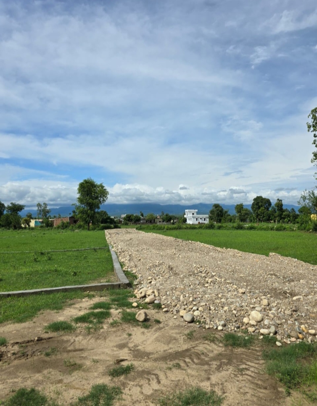 Plot For Sale in Selaqui Dehradun 