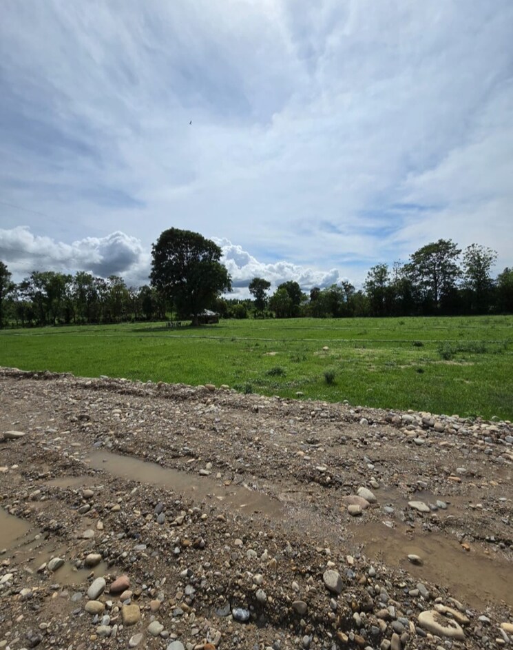 undefined, selakui  255 Sq.Yd. Plot In Selakui Dehradun 8779792