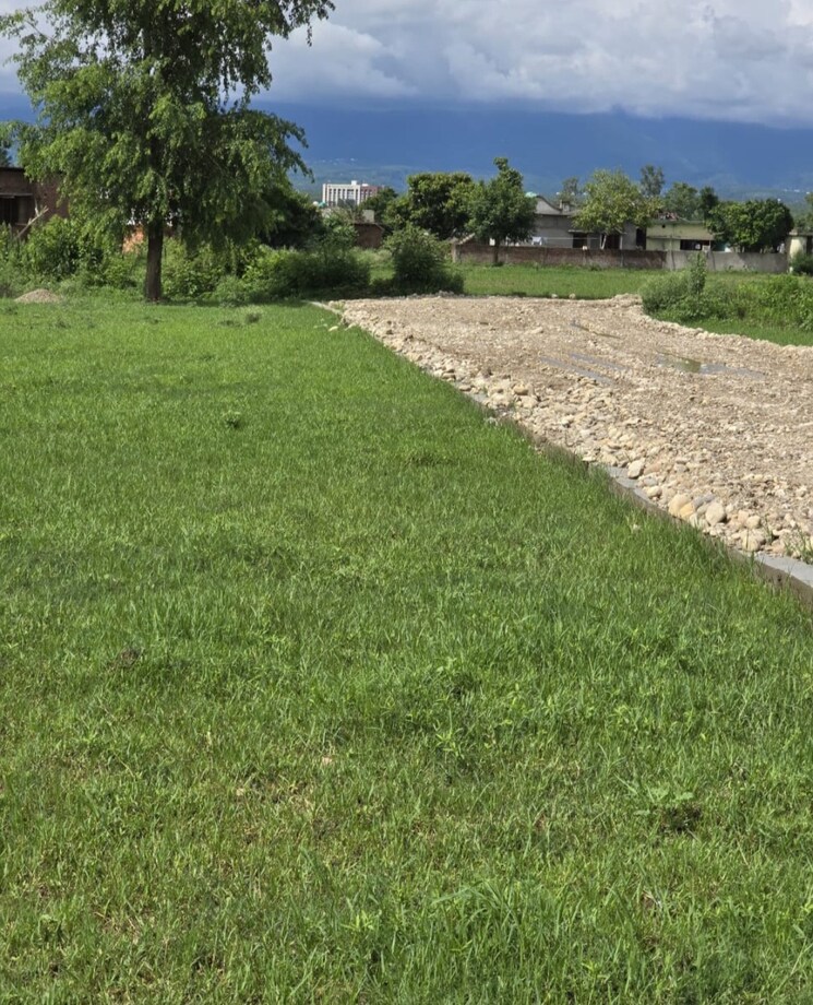 undefined, selakui  255 Sq.Yd. Plot In Selakui Dehradun 8779792