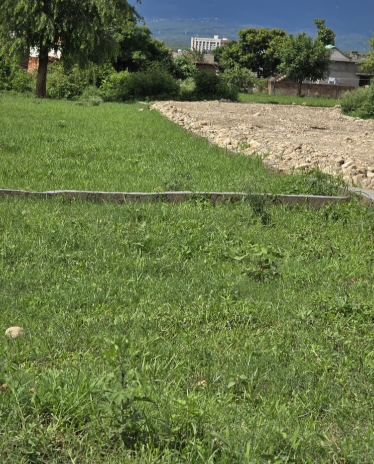 undefined, selakui  255 Sq.Yd. Plot In Selakui Dehradun 8779792