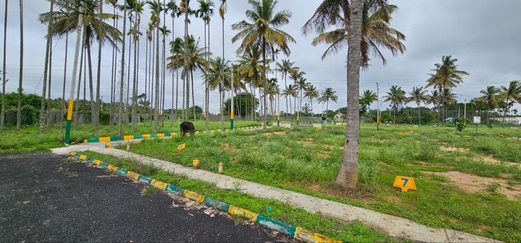 Exterior View, nelamangala  1200 Sq.Ft. Plot In Nelamangala Bangalore 8779757