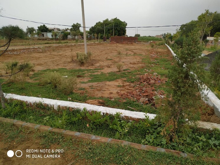 undefined, sector 167  1980 Sq.Ft. Plot In Sector 167 Noida 8779851