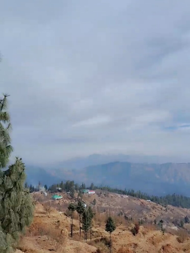 undefined, thoeg  1400 Sq.Yd. Plot In Thoeg Shimla 8779880