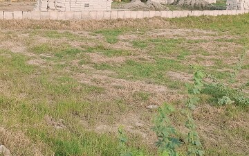 Plot For Sale in Solra