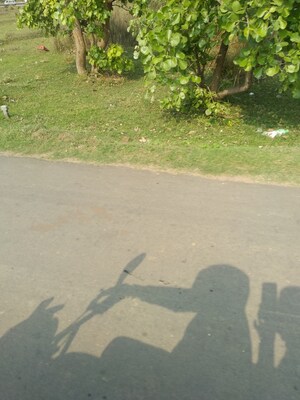  Plot For Sale in Rabindra Nagar