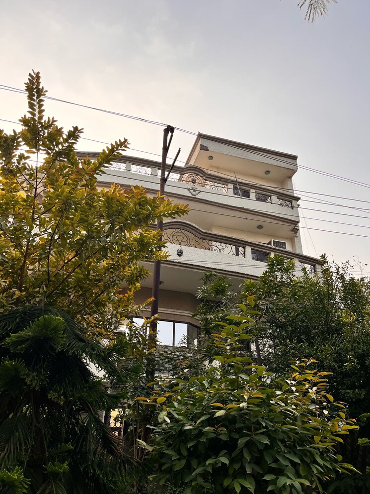 Room, sector 51 Pg For Girls In Sector 51 8780033