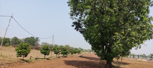 Plot Area in  Plot at Kumhari – for Sale