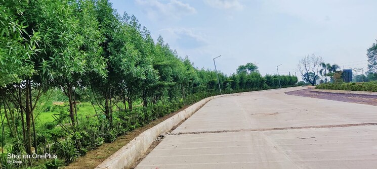 undefined, vidhan sabha marg  1200 Sq.Ft. Plot In Vidhan Sabha Marg Raipur 8780090