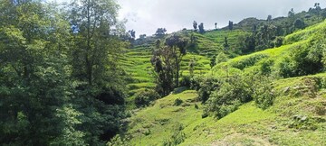  Plot – Exterior View View at Dhanachuli - for Sale