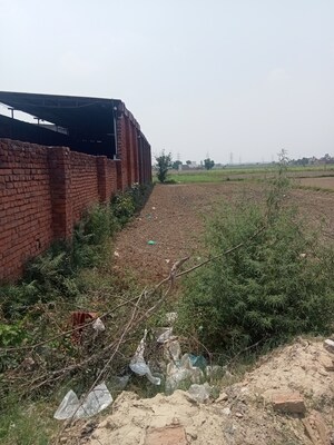  Warehouse – Exterior View View at Binjhol - for Sale