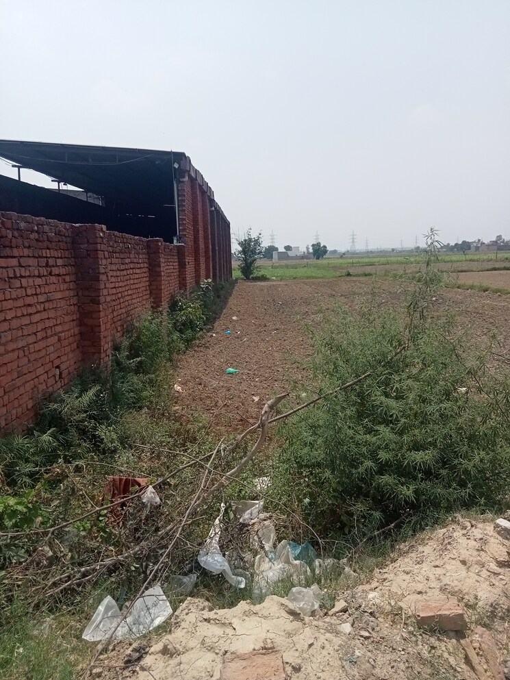 Exterior View, binjhol Commercial Warehouse 15000 Sq.Yd. In Binjhol Panipat 8780128