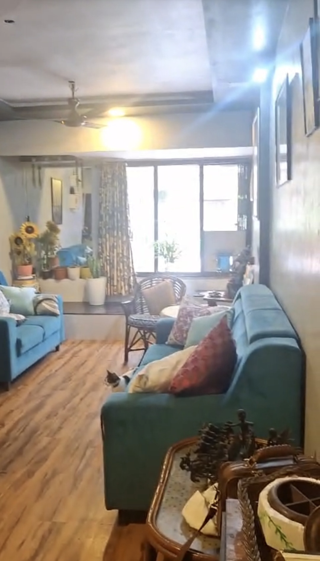 2 BHK + Pooja Room,Servant Room,Study Room,Extra Room Apartment For Sale in Marigold CHS Mira Road