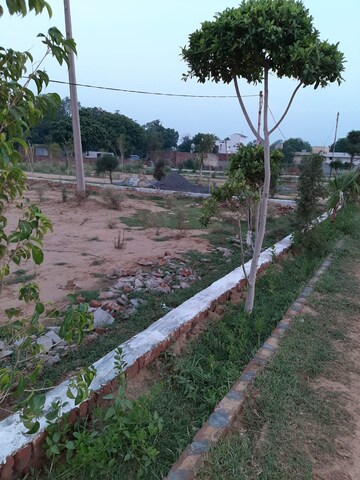 Plot Area in  Plot at Sector 148 – for Sale