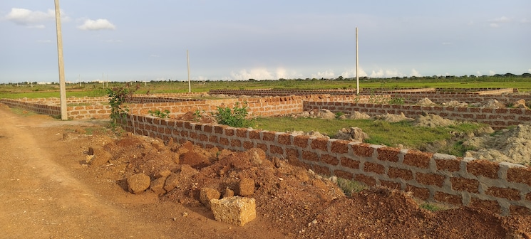 undefined, patrapada  1300 Sq.Ft. Plot In Patrapada Bhubaneswar 8780263