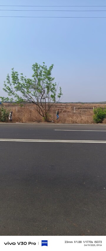 Plot Area in  Land at Vindhane – for Sale