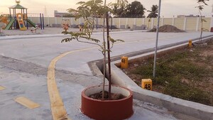  Plot – Exterior View View at Fathima Nagar - for Sale